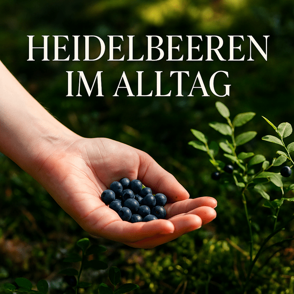 Heidelbeeren im Alltag – 7 besondere Eigenschaften & Genussideen