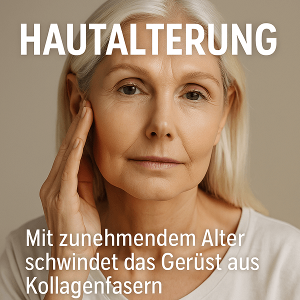 Hautalterung – Mit zunehmendem Alter schwindet das Gerüst aus Kollagenfasern - webinfos24