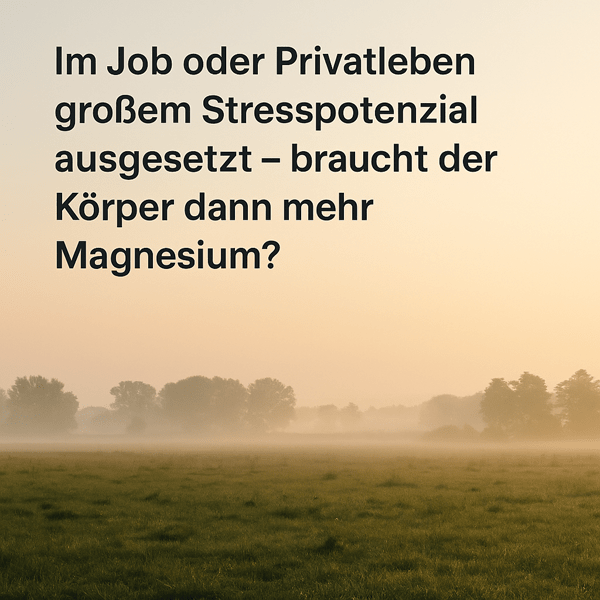 Im Job oder Privatleben großem Stresspotenzial ausgesetzt – braucht der Körper dann mehr Magnesium?