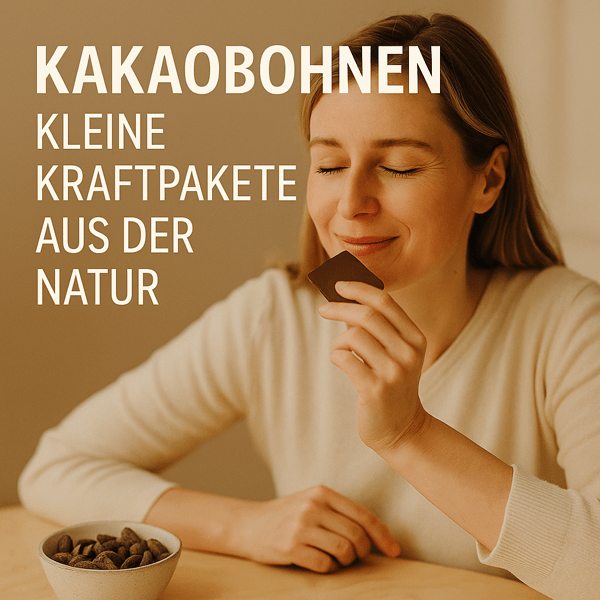 Kakaobohnen zu kleinen Kraftpaketen machen - WebInfos24 Blog